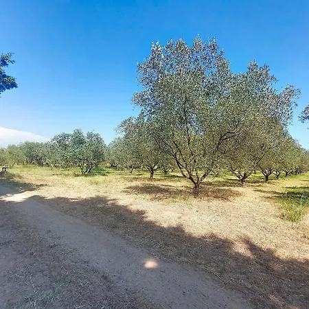 Hébergement de vacances Mas Du Combaud-2 By Interhome Roquebrune-sur Argens